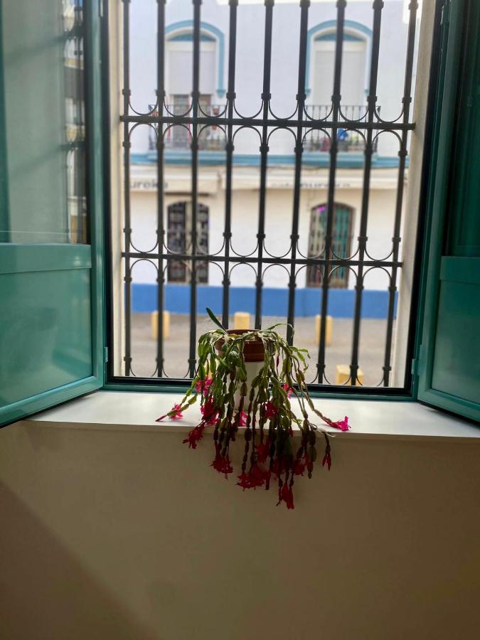 Appartement Nuevo Alameda *